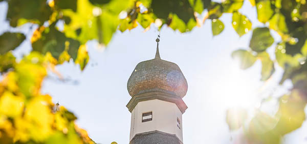 Schlosshotel Mitterhart - Information